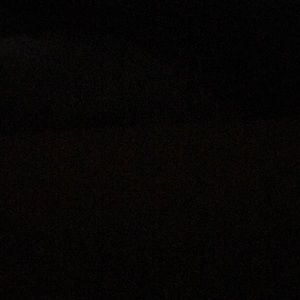 Meet your Posher, Shelby